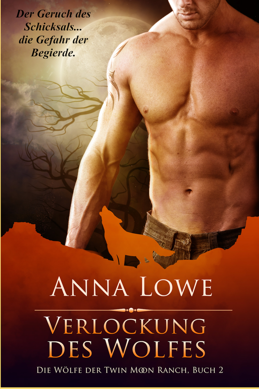 Verlockung des Wolfes Cover