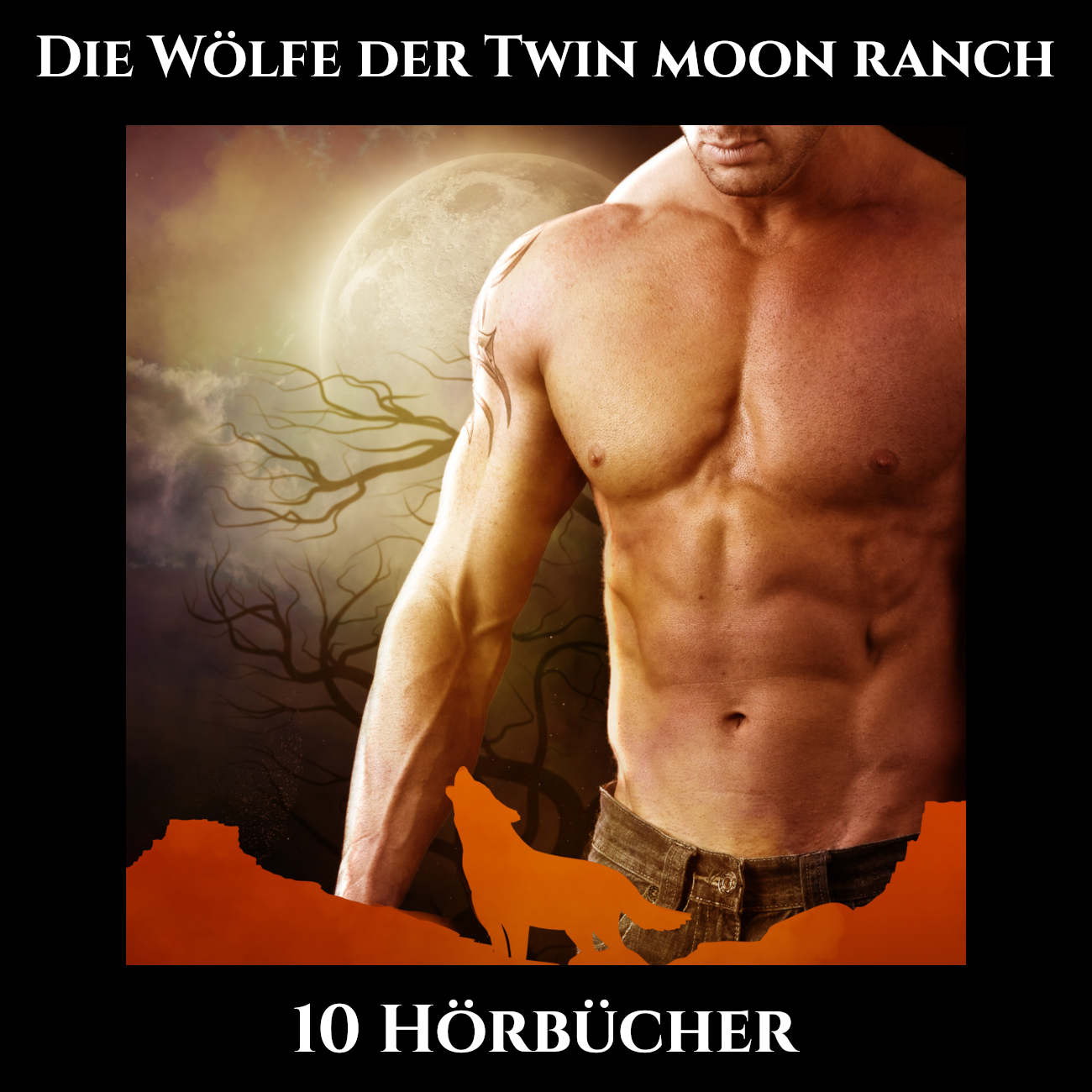 Hörbücher - Die Wölfe der Twin Moon Ranch Cover